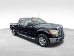 2010 Ford F-150 XL